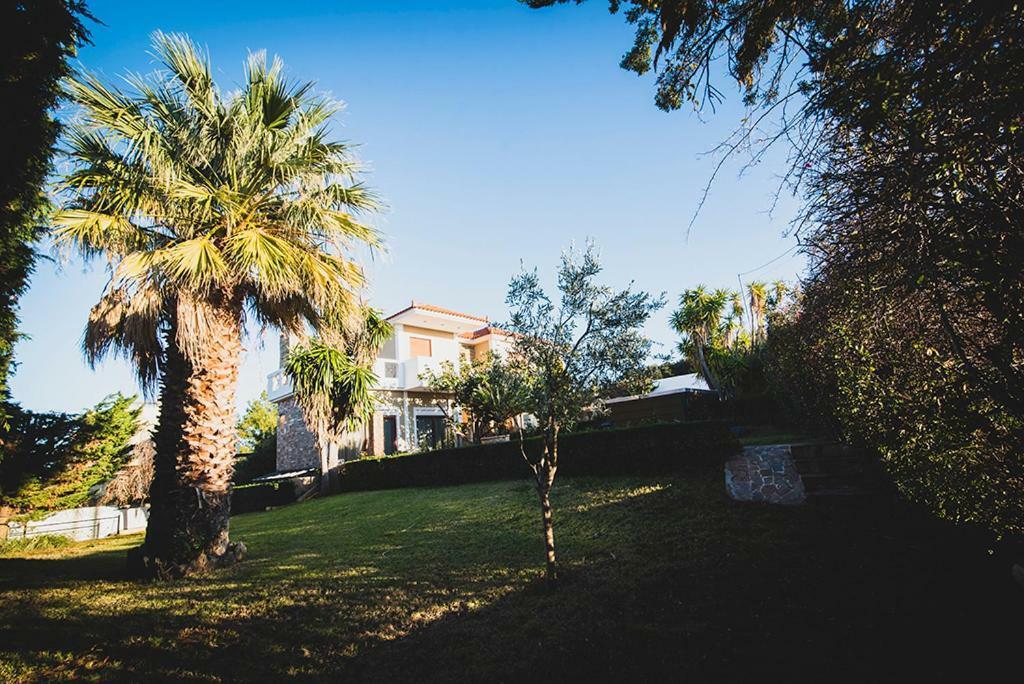 Villa Soula Anavyssos Exteriér fotografie